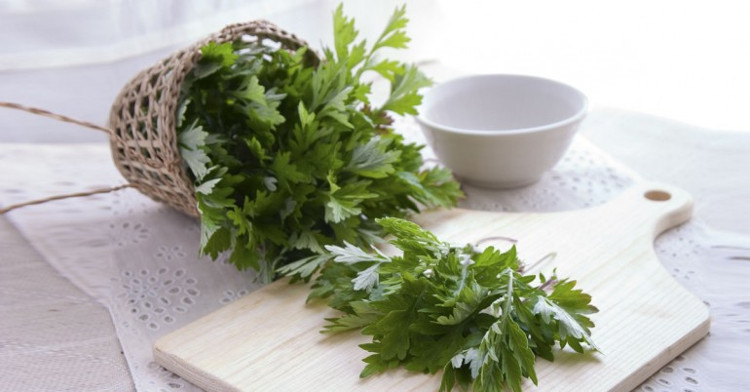 Ngải cứu được ứng dụng trong làm đẹp. Ngải cứu được ứng dụng trong làm đẹp.