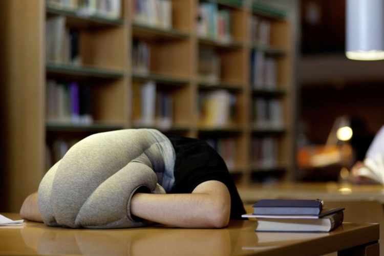 Ngủ trưa giúp cải thiện sức khỏe và tâm trạng.