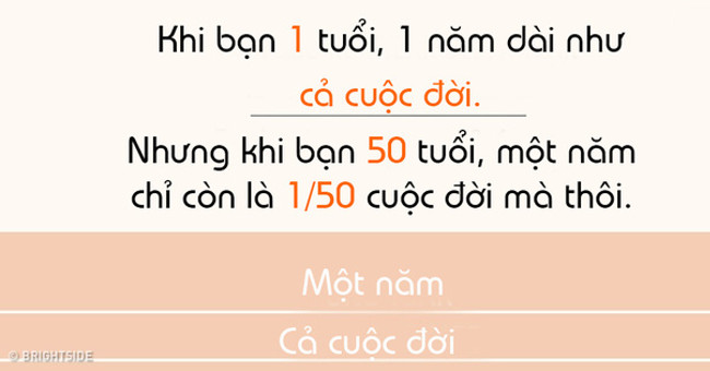 Tại Sao Khi Lớn Lên, Chúng Ta Cảm Thấy Thời Gian Trôi Qua Nhanh Hơn?