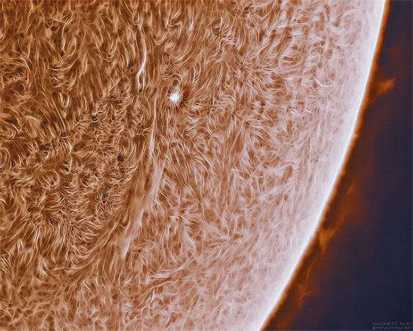 Hình ảnh "Mặt trời rõ nét nhất" của NASA thực chất thuộc về nhiếp ảnh gia thiên văn Jason Guenzel.