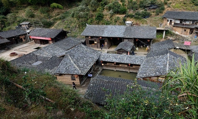 Khu vực xung quanh làng Đinh Ốc Lĩnh Xung quanh làng có những cánh rừng rậm rạp cùng không khí trong lành.