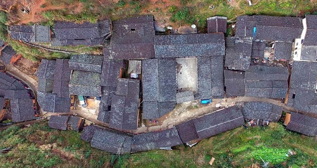 Ngôi Làng Bí Ẩn Không Có Muỗi Suốt Trăm Năm