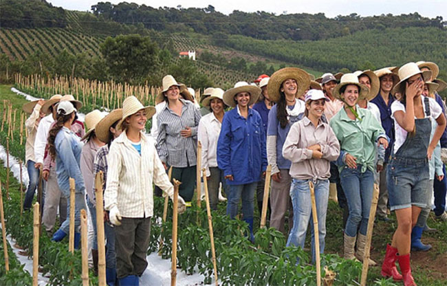Một góc nhìn về người dân thị trấn Noiva do Cordeiro