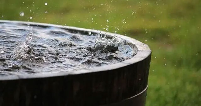 Cảnh Báo Về Ô Nhiễm Nước Mưa: Mối Nguy Hiểm Tiềm Tàng Cho Sức Khỏe