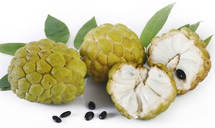 qua-na Na chín hoàn toàn là lựa chọn an toàn