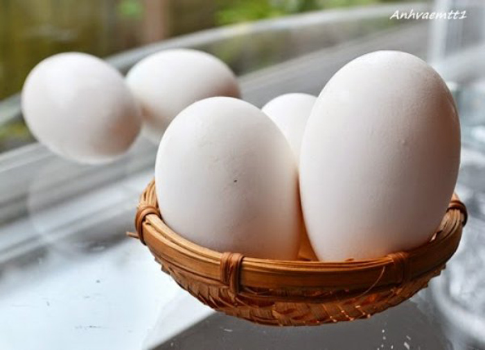 Bà bầu bổ sung trứng ngỗng có thể béo phì và tăng cholesterol trong máu