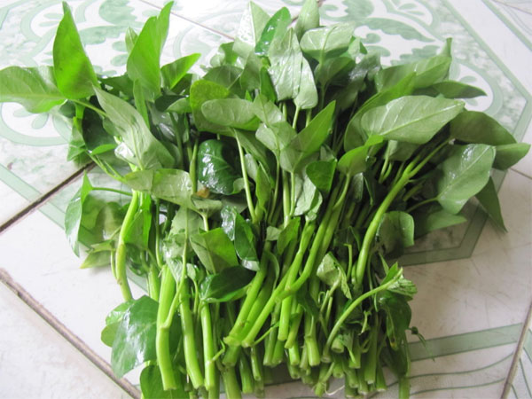Lưu ý khi ăn rau muống