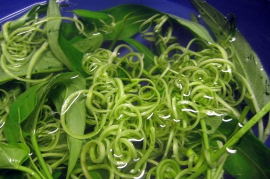 Đặc điểm rau muống