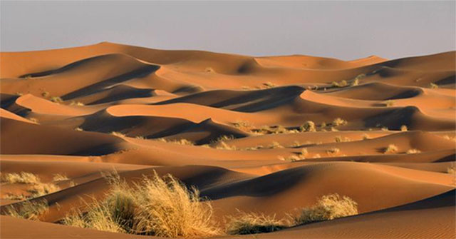 Khảo Sát Độ Sâu Bí Ẩn Của Sa Mạc Sahara: Những Phát Hiện Bất Ngờ