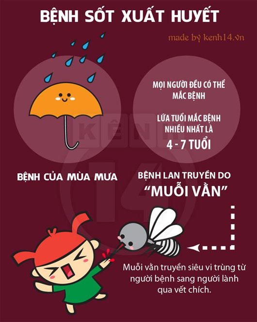 Chống lại bệnh sốt xuất huyết đang rình rập