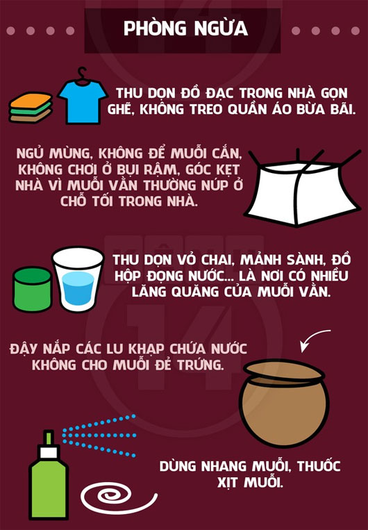 Chống lại bệnh sốt xuất huyết đang rình rập