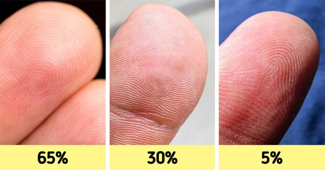 Khám Phá 12 Đặc Điểm Cơ Thể Hiếm Gặp Chỉ Một Số Người Sở Hữu