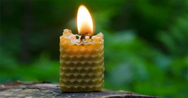 10 Phương Pháp Tự Nhiên Để Tạo Ra Không Khí Sạch Trong Ngôi Nhà Của Bạn